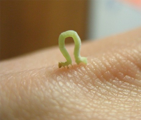 by just_a_name_thingie